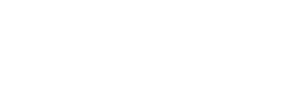 Onpoint Termite And Pest Control Logo White
