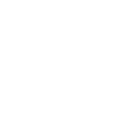 Spider Web White